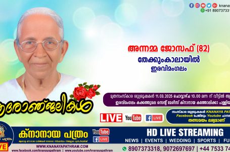 ഇരവിമംഗലം തേക്കുംകാലായിൽ അന്നമ്മ ജോസഫ് (82) നിര്യാതയായി. LIVE FUNERAL TELECASTING AVAILABLE