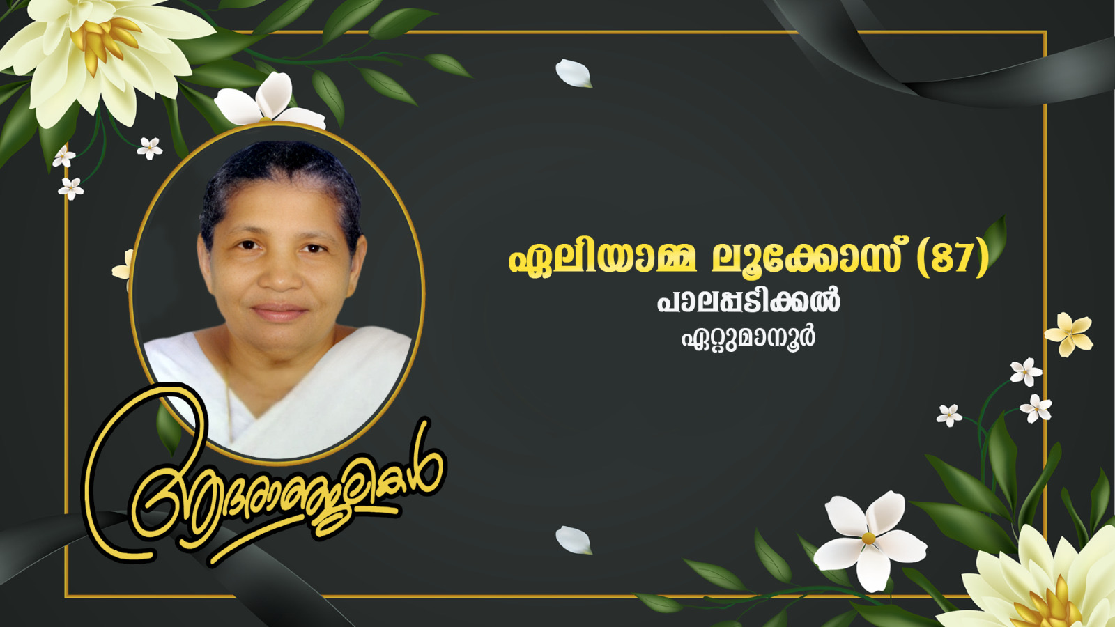 ഏറ്റുമാനൂർ പാലാപ്പടിക്കൽ (പൊത്തമല) ഏലിയാമ്മ ലൂക്കാ (87) നിര്യാതയായി